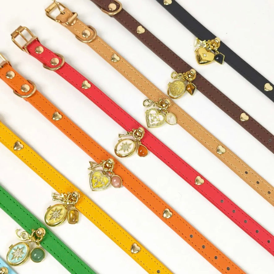 Colorful leather pet collars with custom photo locket charms