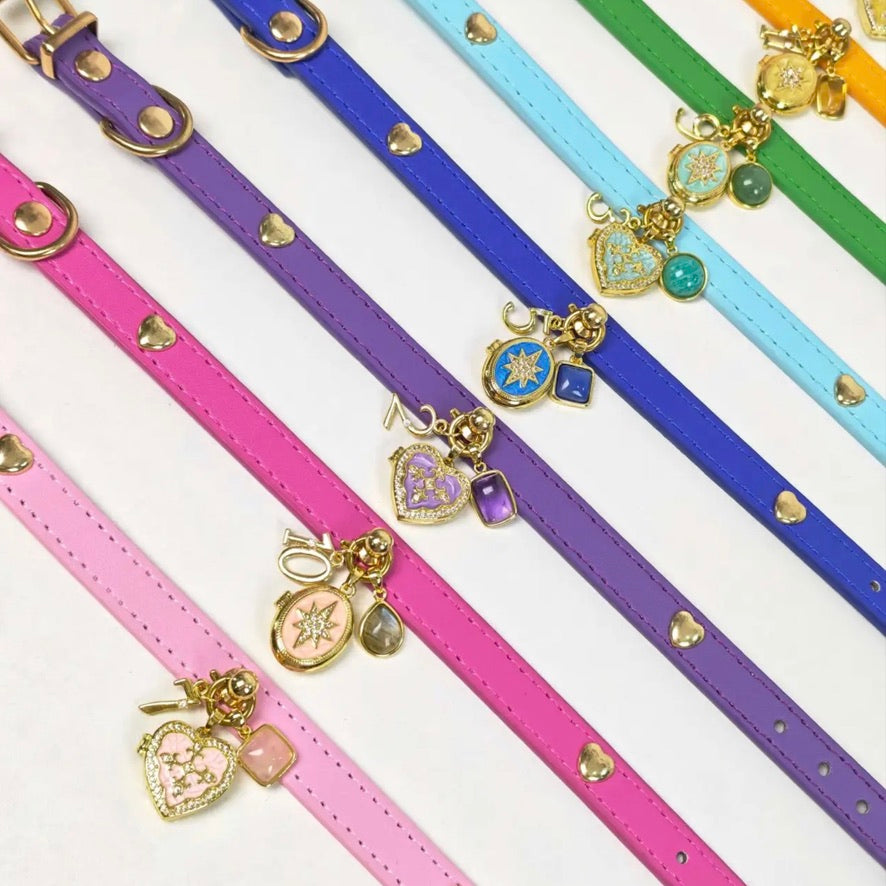 Colorful leather pet collars with custom photo locket charms