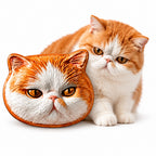 Personalized hand-carved leather cat face brooch and lapel pin shown alongside real cat photo comparison.