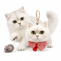 Personalized handmade wool felt cat portrait keychain charm and bag ornament shown beside real cat comparison.