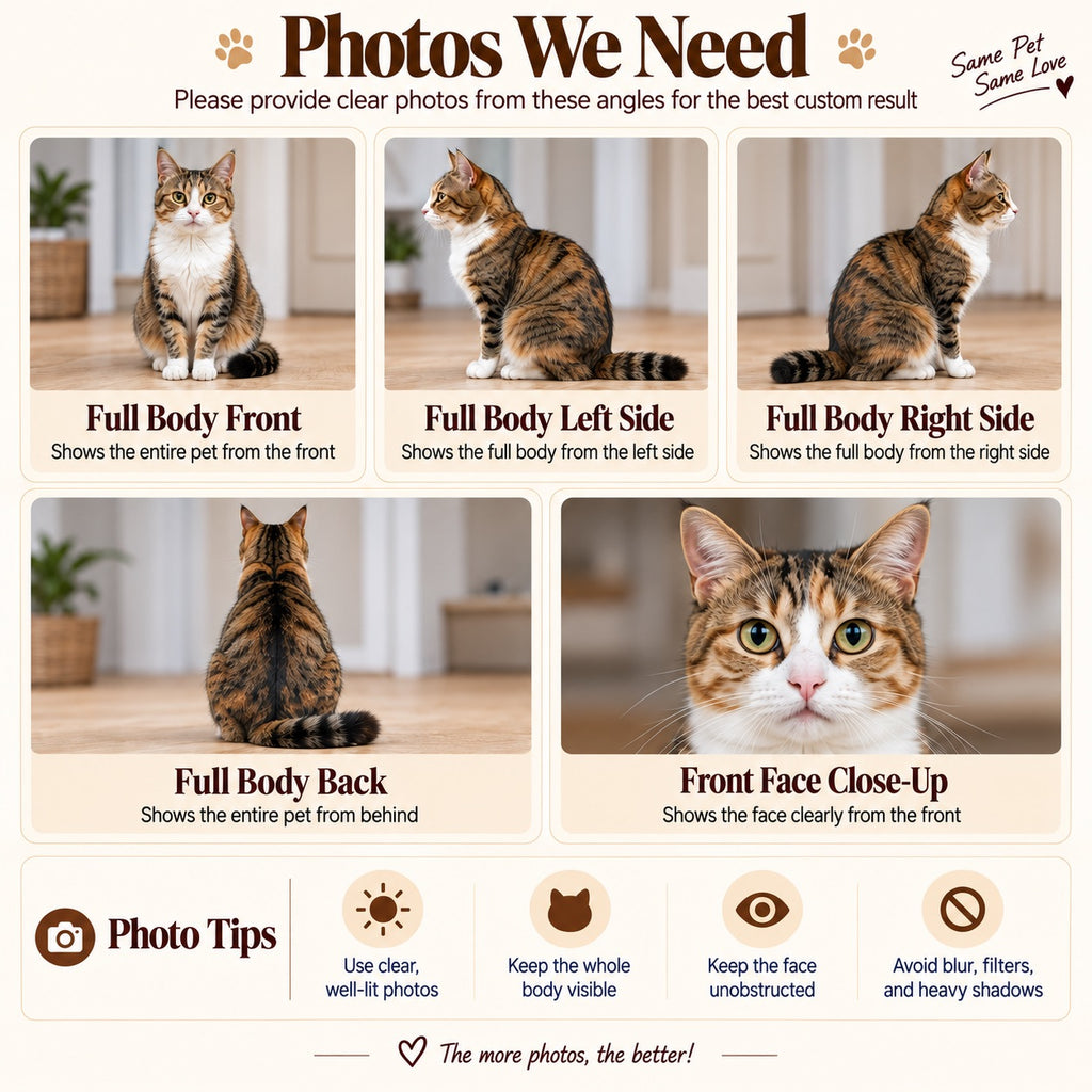 Reference photo guide showing a cat from the front, both sides and back, plus a face close-up and photo tips