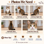Reference photo guide showing a cat from the front, both sides and back, plus a face close-up and photo tips