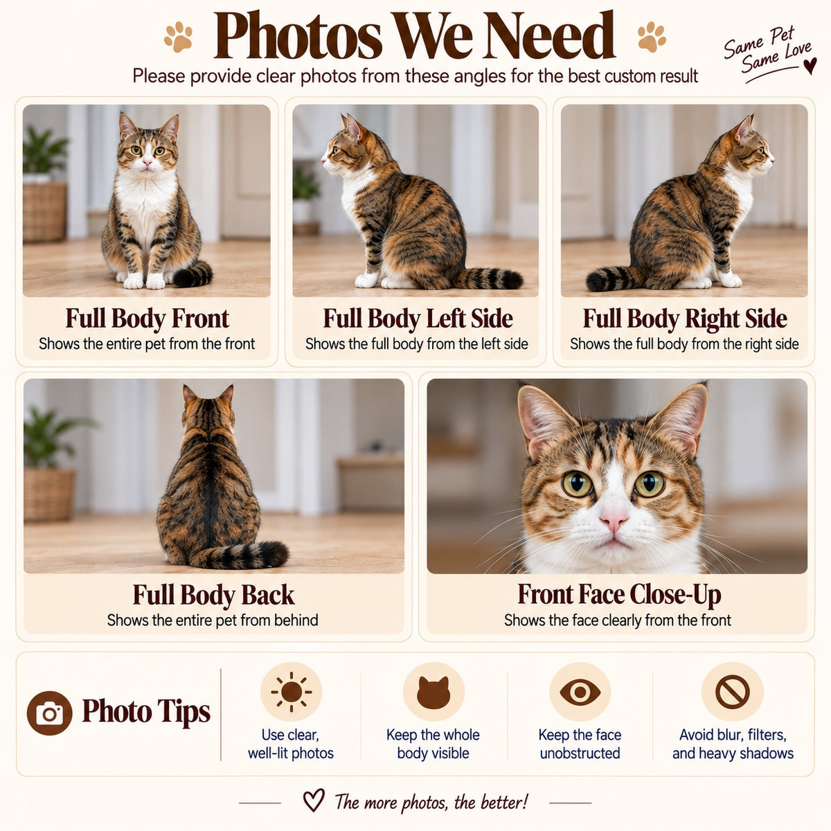 Reference photo guide showing a cat from the front, both sides and back, plus a face close-up and photo tips