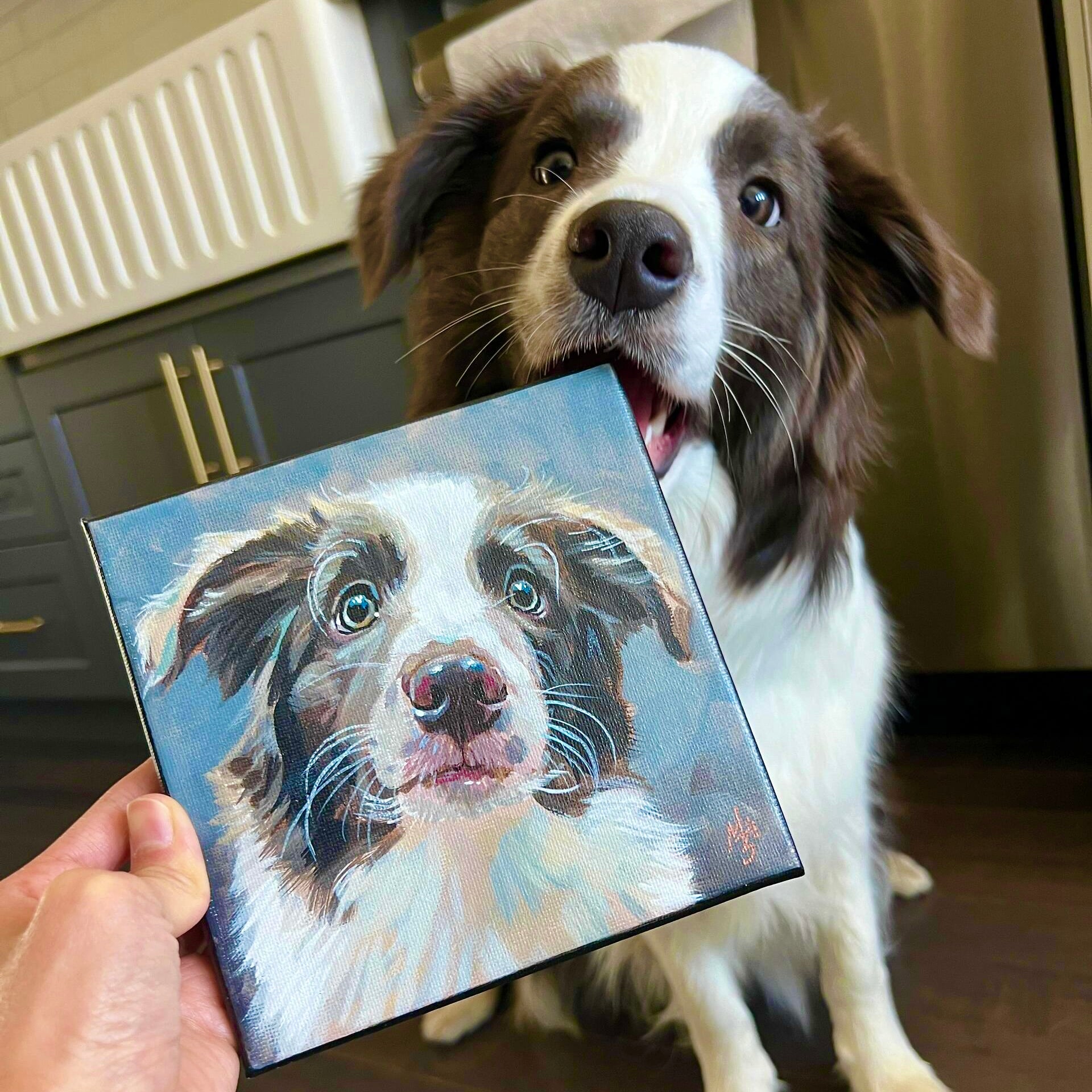 A real Border Collie dog sitting next to a custom hand-painted dog canvas painting of itself, showcasing a high-quality personalized pet portrait from photo.