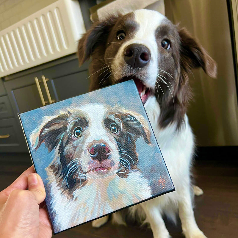 A real Border Collie dog sitting next to a custom hand-painted dog canvas painting of itself, showcasing a high-quality personalized pet portrait from photo.