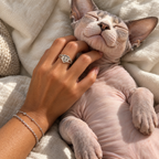Hand wearing a custom silver heart ring engraved with a cat portrait while gently petting a relaxed hairless cat