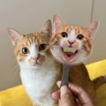 Two cute domestic cats sitting side by side, serving as the original reference photos for custom pet magnetic bottle openers.