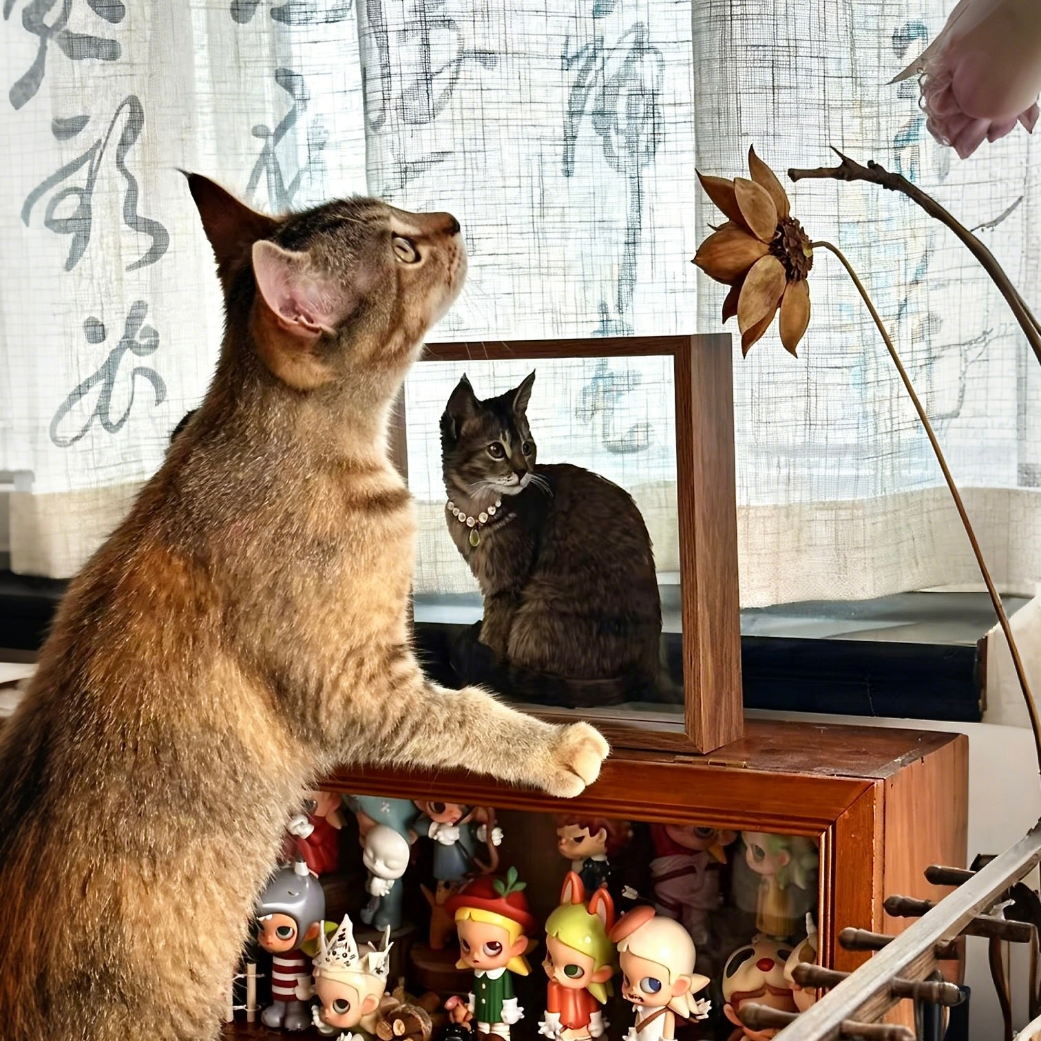 A real cat looking closely at its own custom pet glass portrait in a wooden frame, showcasing a high-quality hand-painted cat glass painting tabletop memorial.
