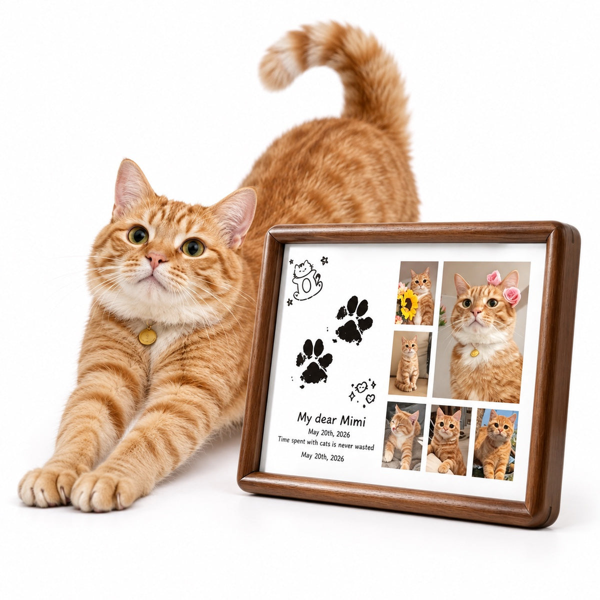 Custom dark wood pet memorial frame featuring a cat photo collage, paw prints, and personalized text "My dear Mimi", displayed next to an orange tabby cat.