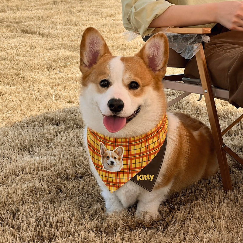 A happy Pembroke Welsh Corgi dog wearing a custom plaid pet bandana personalized with a printed photo of its face and the name Kitty.