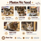 Custom pet portrait photo guide showing top, profile, front, and chin angle requirements