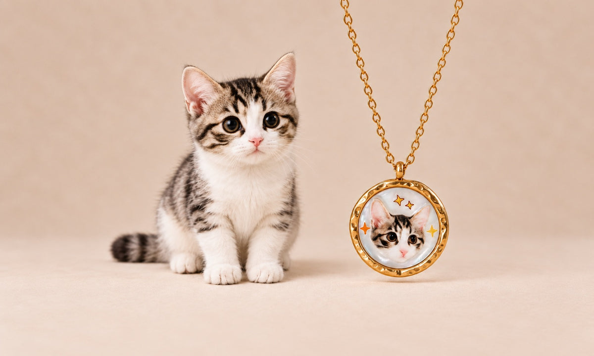 A cute tabby kitten sitting next to a custom gold round pendant necklace featuring a personalized pet portrait.
