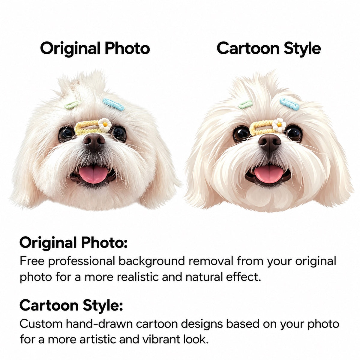 Style guide comparing original photo background removal with hand-drawn cartoon style for custom pet portrait rug