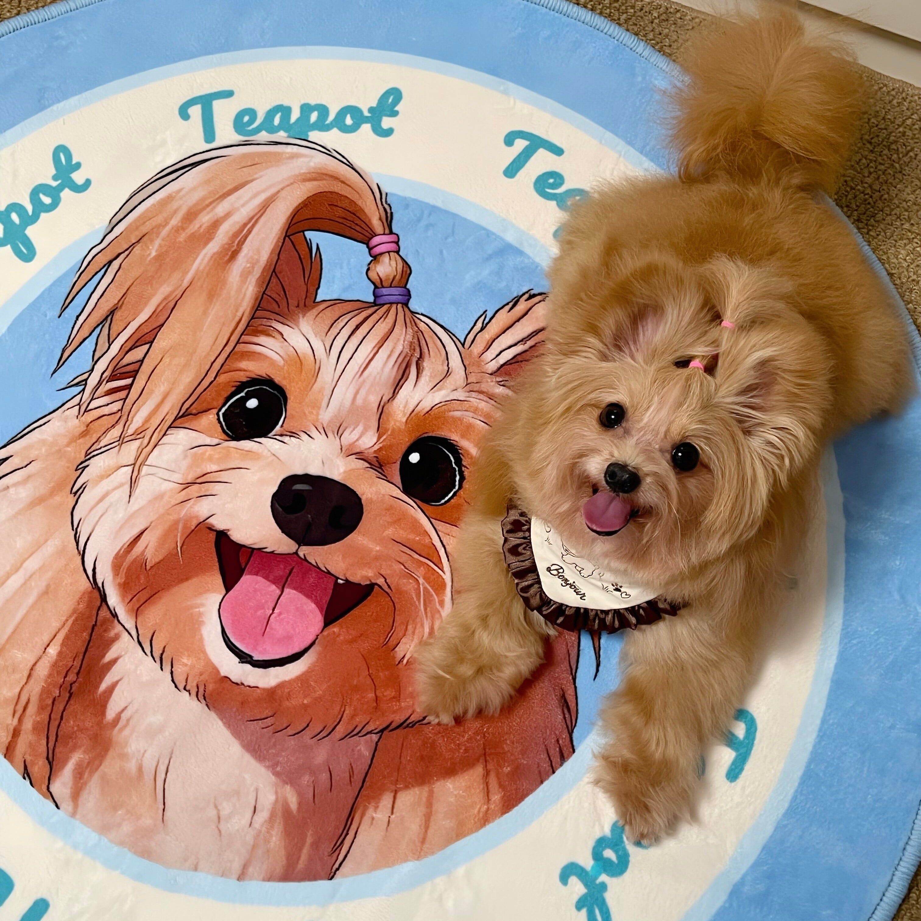 A custom shaped pet portrait rug in a realistic dog head silhouette, showcasing a premium personalized hand-drawn silk velvet pet carpet for living room decor.