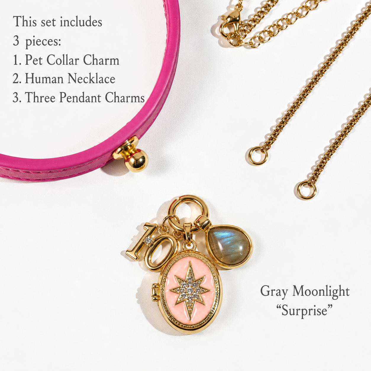 October Grey Moonlight meaningful pet memorial keepsake locket necklace