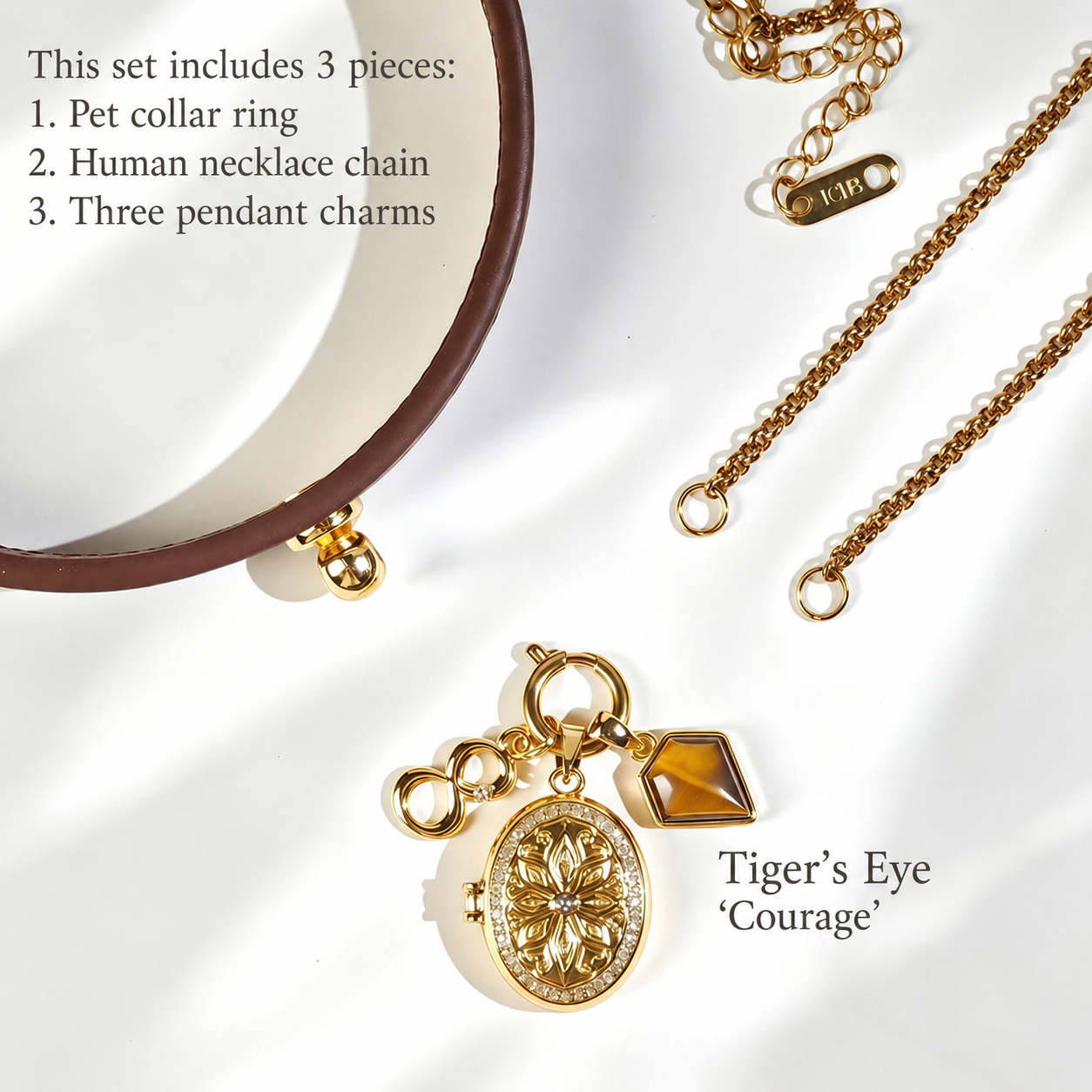August Tiger Eye Stone interchangeable pet photo pendant for collar