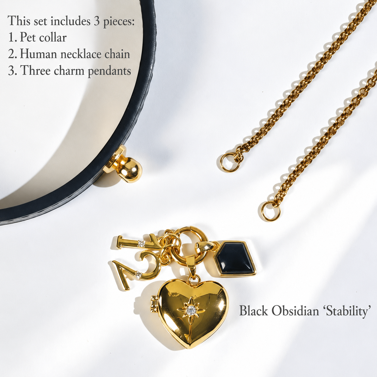 December Obsidian custom pet photo locket necklace with birthstone charm