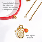 A 3-piece custom shared human-pet jewelry set featuring a leather pet collar ring and a gold owner necklace chain. The interchangeable modular charm set includes a photo locket, a natural crystal stone, and a gold lucky number.  