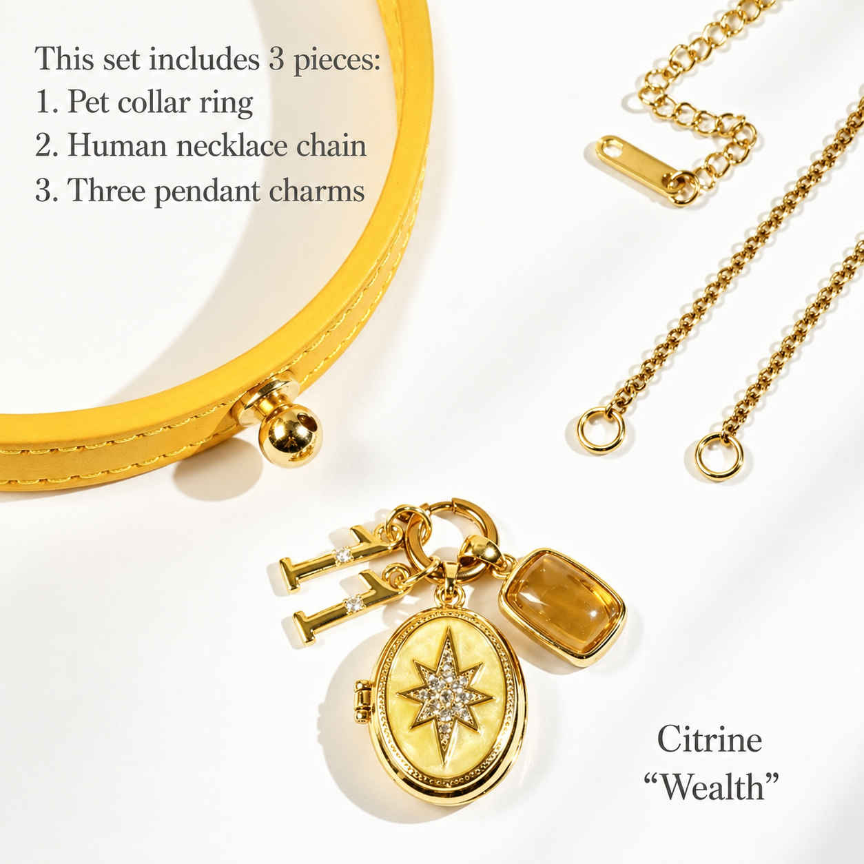 November Yellow Crystal personalized shared pet and owner jewelry pendant