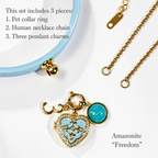 A 3-piece custom shared human-pet jewelry set featuring a leather pet collar ring and a gold owner necklace chain. The interchangeable modular charm set includes a photo locket, a natural crystal stone, and a gold lucky number.  