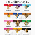 Pet collar size guide for custom photo locket jewelry