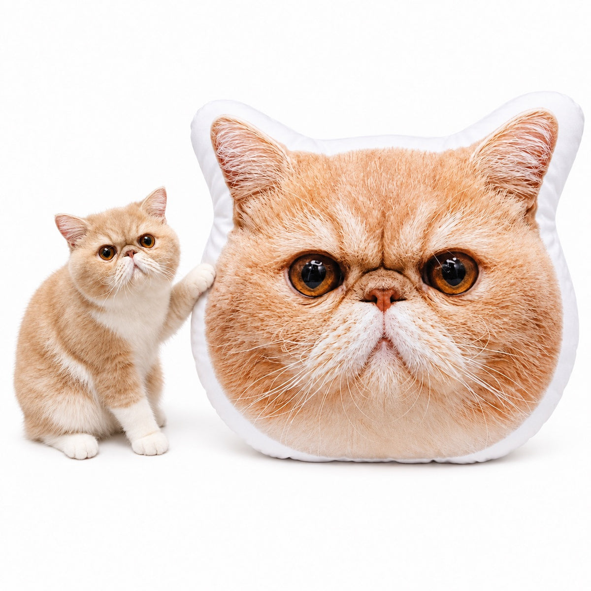 An exotic shorthair cat sitting next to a custom cat face shaped photo pillow.