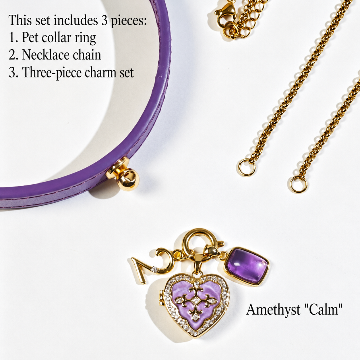 February Amethyst personalized shared pet and owner jewelry locket pendant