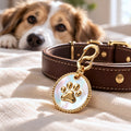Gold mother-of-pearl paw ID tag with S-shaped hook displayed beside a brown dog collar