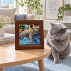 Gray cat grooming beside a framed relief portrait of a cat reclining on a blue rug
