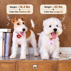 Two dogs wearing red and pink personalized heart-shaped photo tags