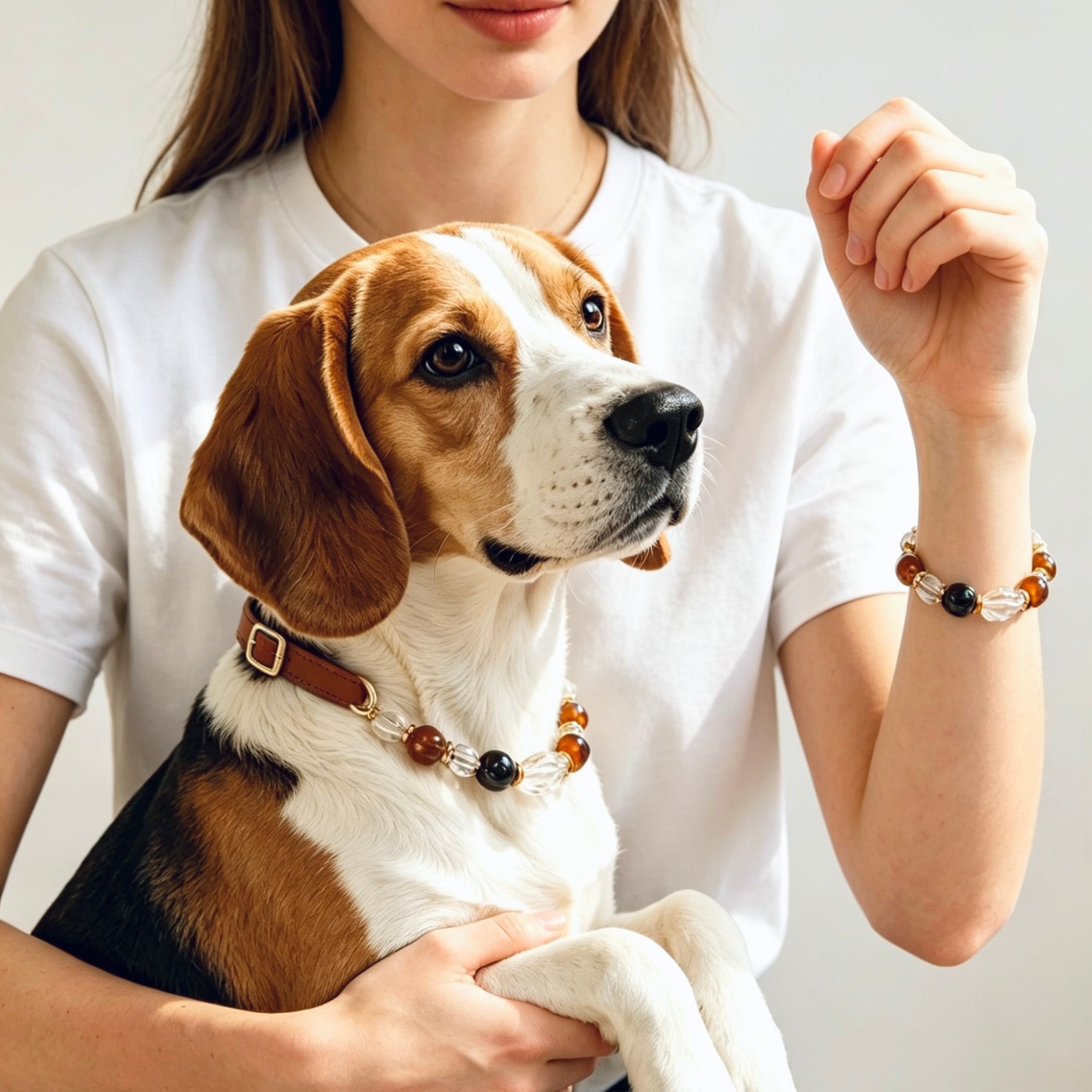 Dog wearing blue crystal pet collar from matching owner and pet jewelry set