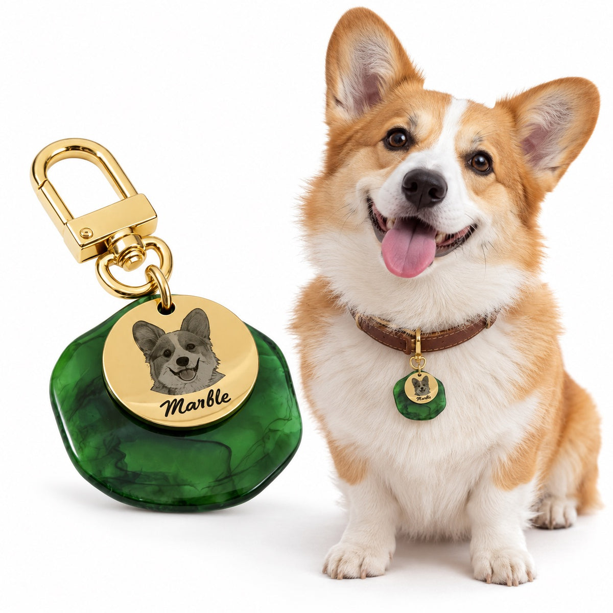 Personalized green double-layer dog tag with an engraved Corgi portrait and name beside a Corgi wearing the tag