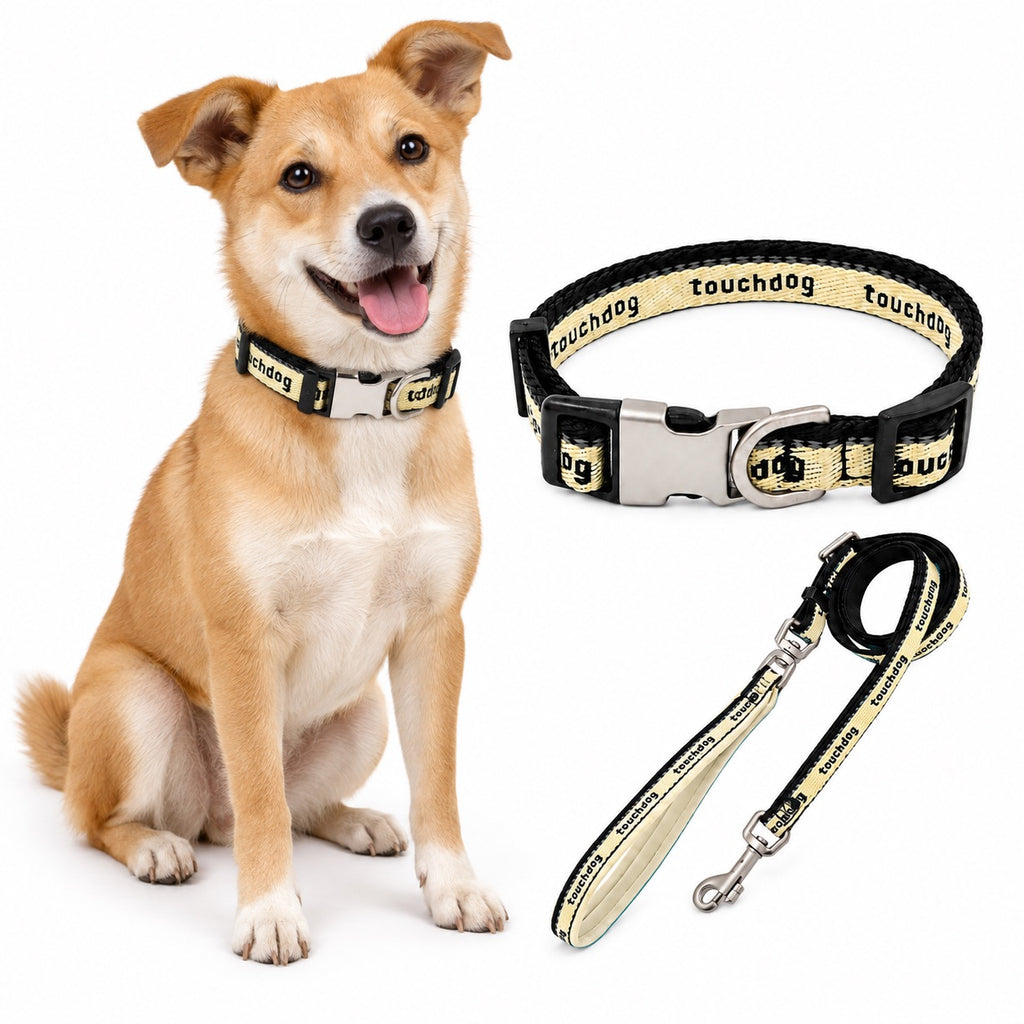 A light brown dog wearing a personalized black engraved dog collar, displayed alongside the matching collar and leash set.