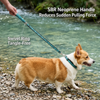 A Welsh Corgi wearing a personalized engraved dog collar with a matching tangle-free padded leash.