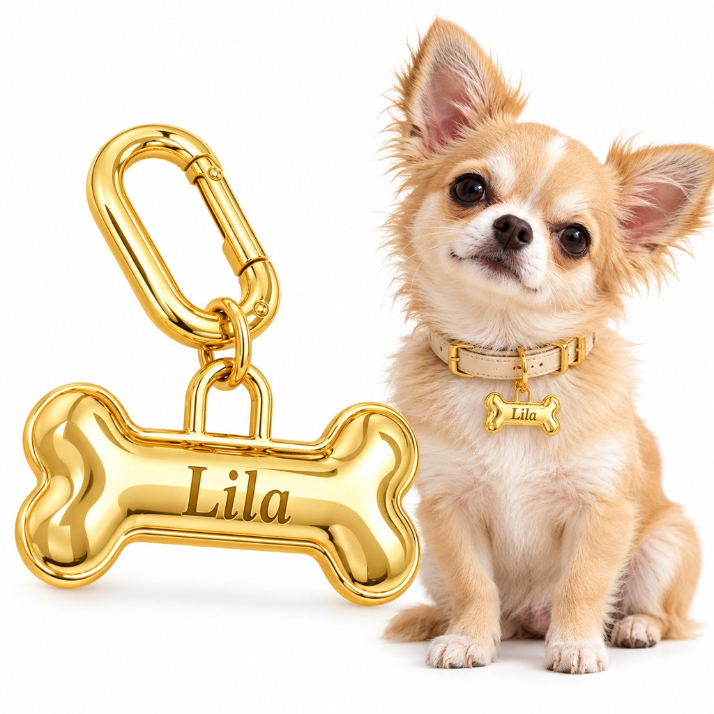 Personalized gold bone pet ID tag with the name Lila beside a Chihuahua wearing the tag