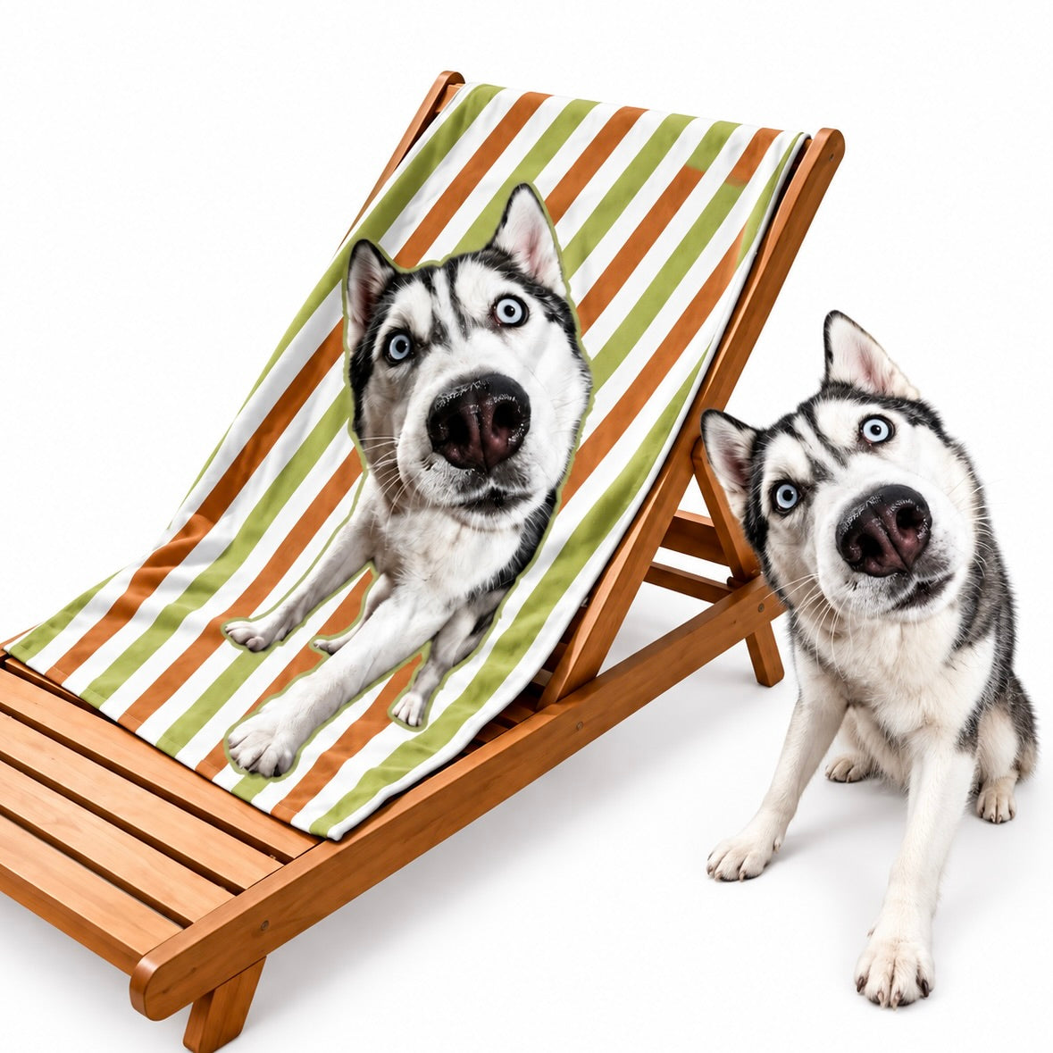 Personalized Siberian Husky photo microfiber beach towel on a lounge chair with real dog comparison.