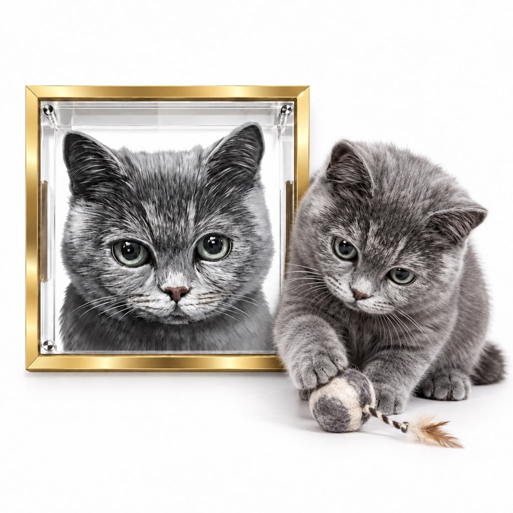 Custom 5-layer 3D pet acrylic desk display featuring a grey tabby cat portrait in a gold frame, displayed next to the real cat.