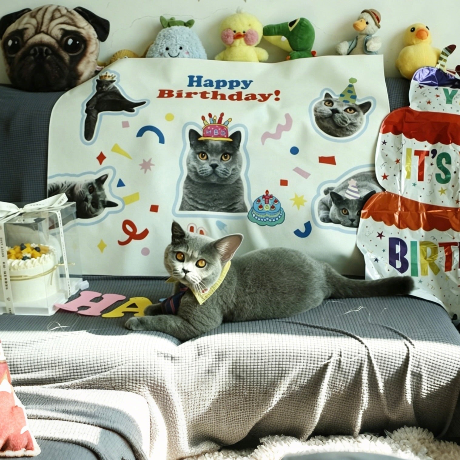 A cute grey cat lies on a bed in front of a custom pet portrait birthday backdrop tapestry featuring its photo and party decorations.