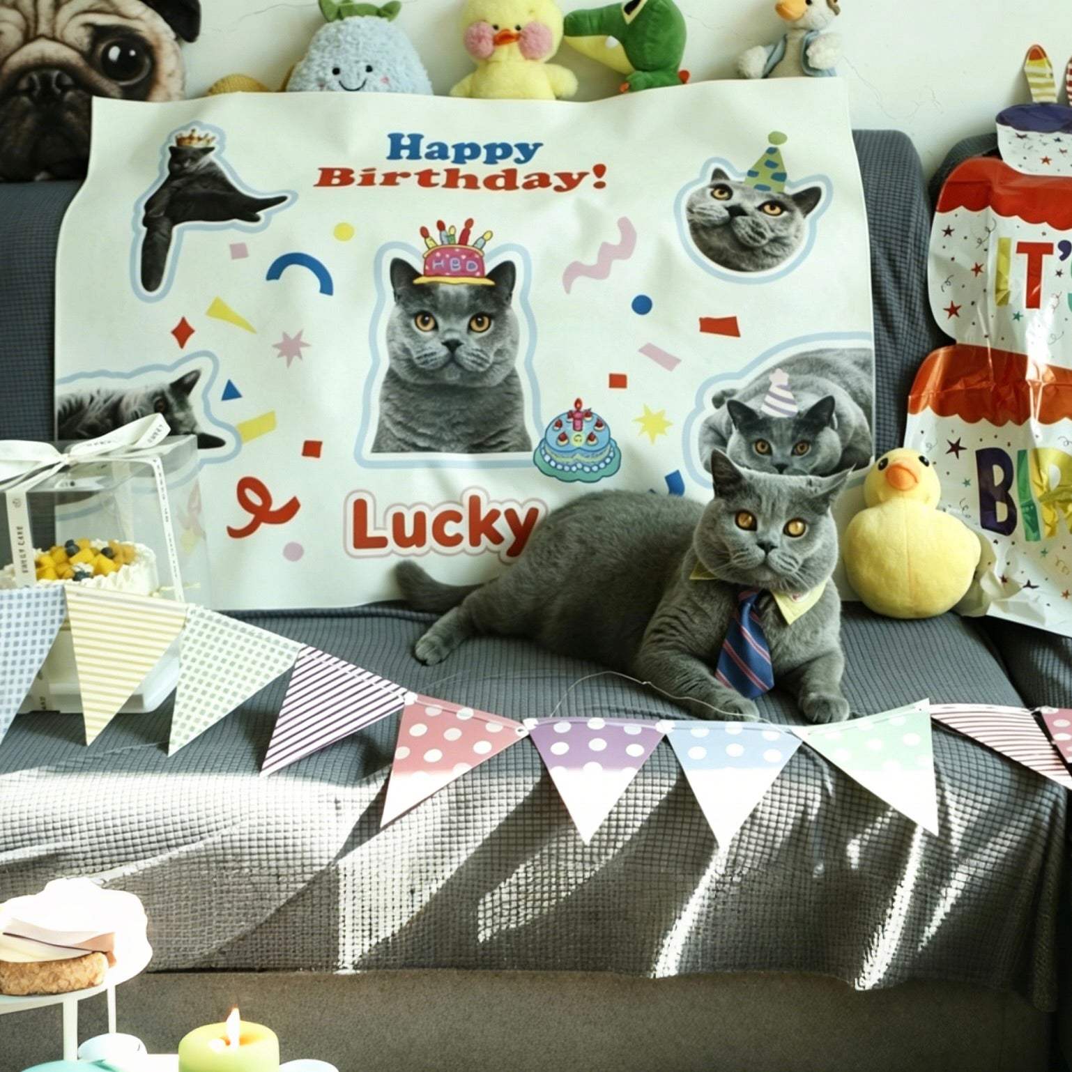A cute grey cat lies on a bed in front of a custom pet portrait birthday backdrop tapestry featuring its photo and party decorations.