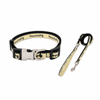 Beige and black striped personalized engraved dog collar with matching reflective leash for night walking safety.