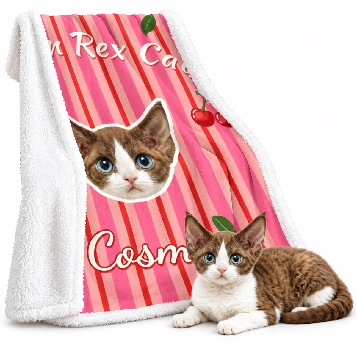 Pink striped cat portrait sherpa blanket with white fleece backing, displayed beside a brown-and-white cat