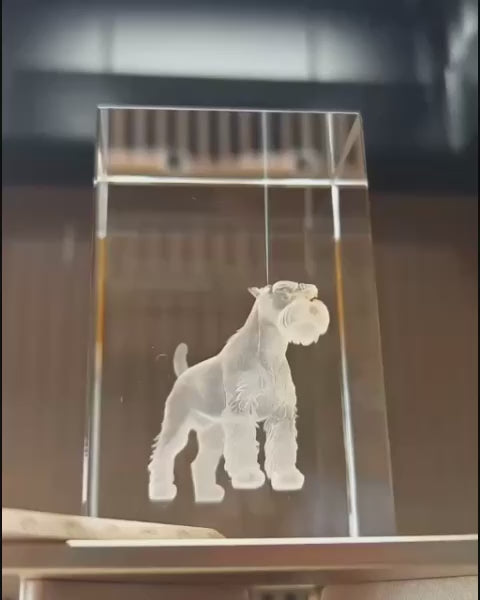 Video showcasing a custom 3D crystal pet portrait night light with a laser-etched Schnauzer dog on a wooden LED base, a luxury memorial gift by Memopaw.Laser-engraved pet portrait inside clear crystal