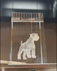 Video showcasing a custom 3D crystal pet portrait night light with a laser-etched Schnauzer dog on a wooden LED base, a luxury memorial gift by Memopaw.Laser-engraved pet portrait inside clear crystal