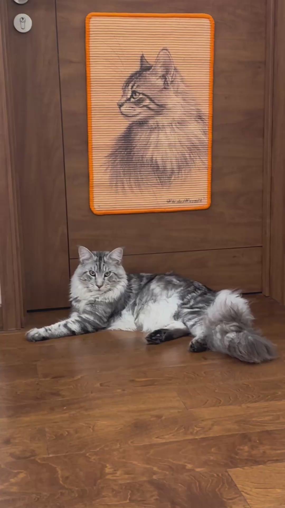 A video showing an engaged cat happily scratching, stretching, and playing on a durable, high-density cat scratching board. The cat demonstrates its natural instincts and interacting with the customizable cat furniture, which is designed to protect home surfaces.