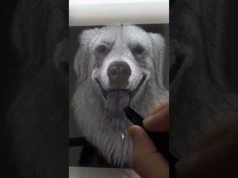 Custom 3D Pet Portrait: Hand-Engraved Luxury Acrylic Fine Art