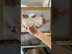 Custom 5-Layer 3D Pet Memorial: Hand-Painted Acrylic Fine Art