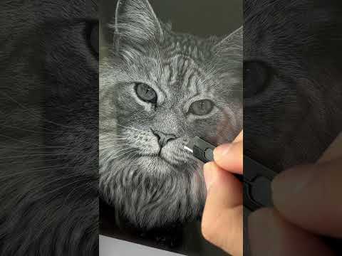 Hand-engraved 3D acrylic pet portrait carving showing a realistic cat face, luxury custom pet memorial artwork by Memopaw.