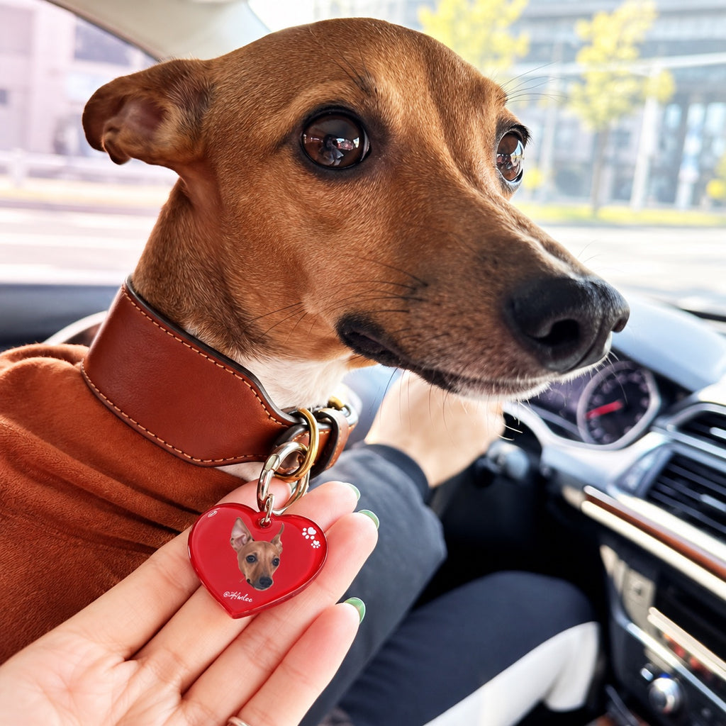 Red heart-shaped dog ID tag personalized with a dog portrait and attached to a brown dog’s collar