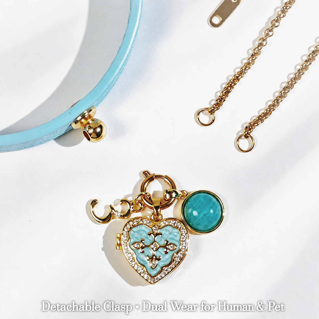 Shared pet and owner jewelry with photo locket and collar
