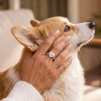 Silver personalized Corgi portrait memorial ring worn beside the pet